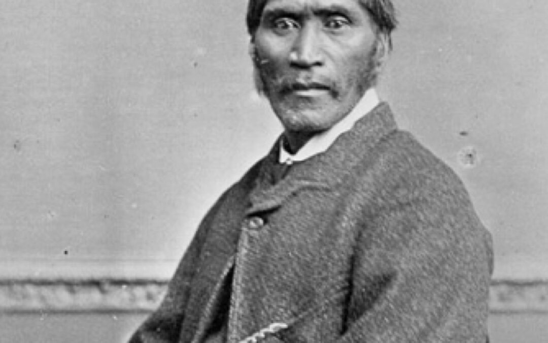 Pilgrim’s Guides #1 – Wiremu Tamihana